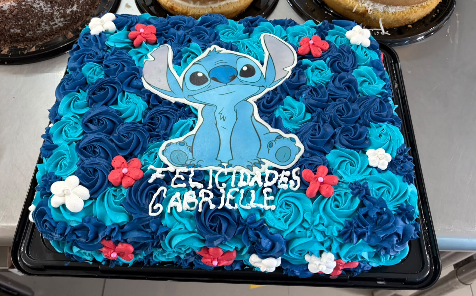 Suitari Pastelerias en Puebla (33)